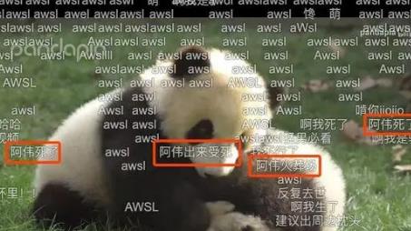 阿伟已经死了哪部电影台词,阿伟死了是什么梗 阿伟已经死了哪部电影台词,阿伟死了是什么梗